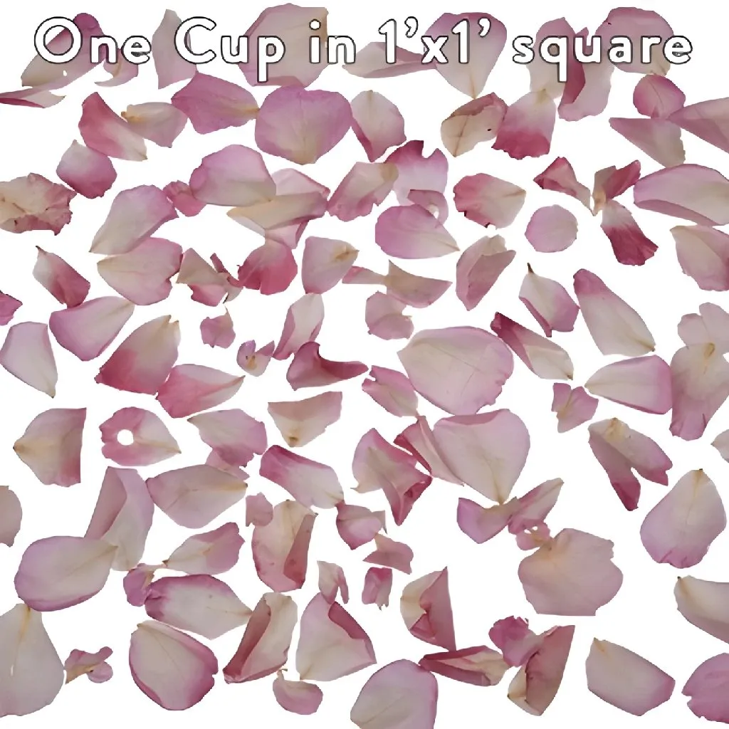 Blush Pink Dried Rose Petals