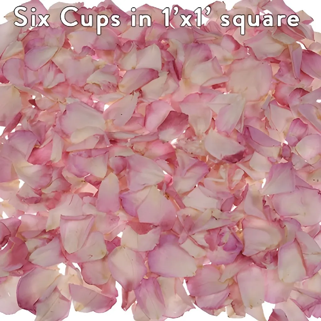 Blush Pink Dried Rose Petals